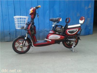  白隆驹电动车2